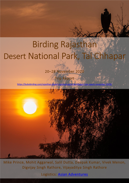 Birding Rajasthan—Desert National Park & Tal Chhapar