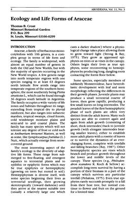 Croat T. B., 1988, Ecology and Life Forms of Araceae, Aroideana 11(3-4)