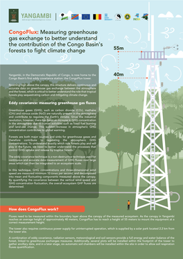 Congoflux: Measuring Greenhouse Gas Exchange to Better Understand the Contribution of the Congo Basin's Forests to Fight Climate Change 55M