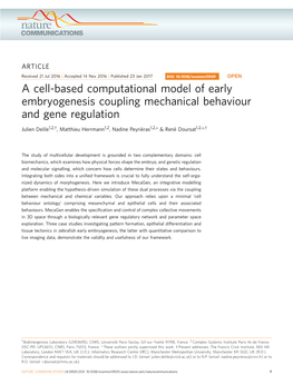 A Cell-Based Computational Model of Early Embryogenesis Coupling Mechanical Behaviour and Gene Regulation