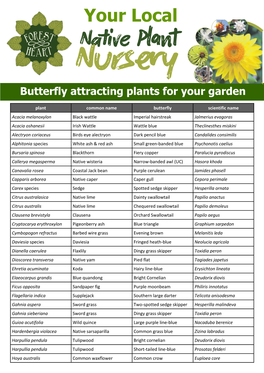 Your Local Butterfly Attracting Plants for Your Garden