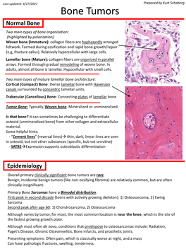 Bone Tumors Normal Bone Two Main Types of Bone Organization: (Highlighted by Polarization) Woven Bone (Immature): Collagen Fibers Are Haphazardly Arranged Feltwork