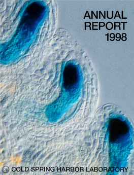 Annual Report 1998