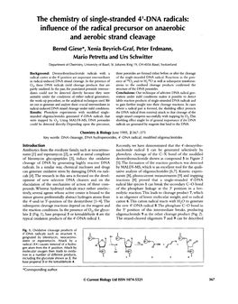 DNA Radicals