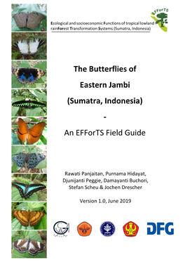 The Butterflies of Eastern Jambi (Sumatra, Indonesia)
