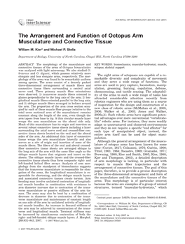 The Arrangement and Function of Octopus Arm Musculature and Connective Tissue