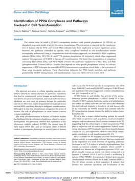 Identification of PP2A Complexes and Pathways Involved in Cell Transformation