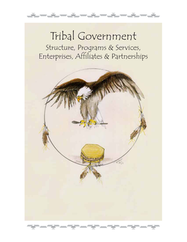 Tribal Government Structure, Programs & Services, Enterprises, Affiliates & Partnerships This Page Intentionally Left Blank for Printing Purposes