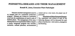 Poinsettia Diseases and Their Management