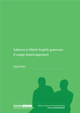 Salience in Welsh English Grammar: a Usage-Based Approach