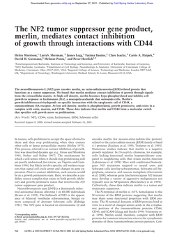 The NF2 Tumor Suppressor Gene Product, Merlin, Mediates Contact Inhibition of Growth Through Interactions with CD44