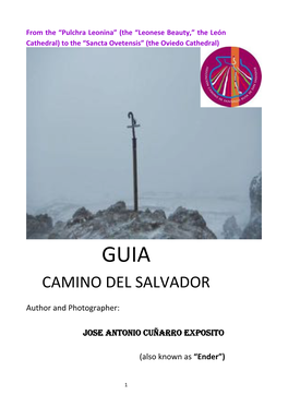 Camino Del Salvador