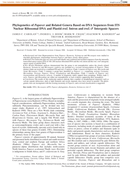 Phylogenetics of Papaver and Related Genera Based on DNA Sequences from ITS Nuclear Ribosomal DNA and Plastid Trnl Intron and Trnl–F Intergenic Spacers