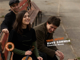 Hans Sommer Trio Imàge