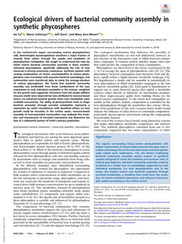 Ecological Drivers of Bacterial Community Assembly in Synthetic Phycospheres