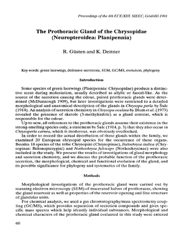 The Prothoracic Gland of the Chrysopidae (Neuropteroidea: Planipennia)