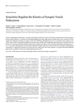 Synucleins Regulate the Kinetics of Synaptic Vesicle Endocytosis
