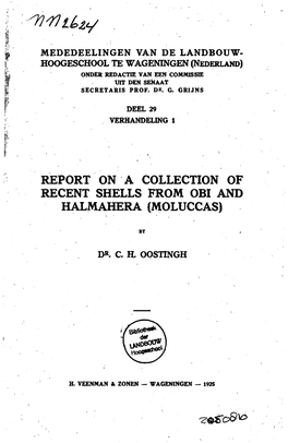 Report on a Collection of Recent Shells from Obi and Halmahera (Moluccas)