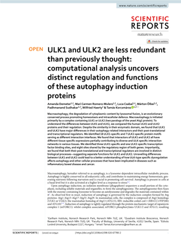ULK1 and ULK2 Are Less Redundant Than Previously Thought