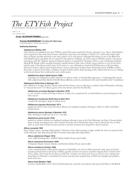 The Etyfish Project © Christopher Scharpf and Kenneth J