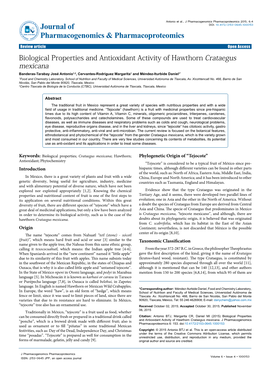 Biological Properties and Antioxidant Activity of Hawthorn Crataegus Mexicana