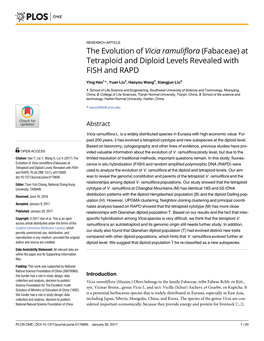 At Tetraploid and Diploid Levels Revealed with FISH and RAPD