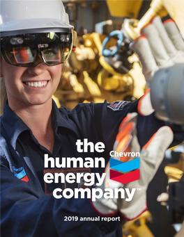 Pdf 2019 Chevron Annual Report