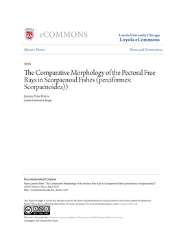 The Comparative Morphology of the Pectoral Free Rays in Scorpaenoid