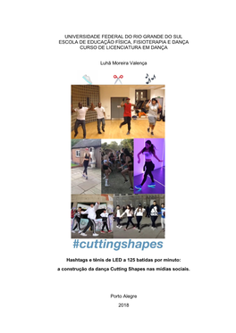 Universidade Federal Do Rio Grande Do Sul Escola De Educação Física, Fisioterapia E Dança Curso De Licenciatura Em Dança