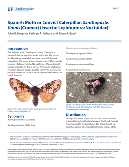 Spanish Moth Or Convict Caterpillar, Xanthopastis Timais (Cramer) (Insecta: Lepidoptera: Noctuidae)1 John B