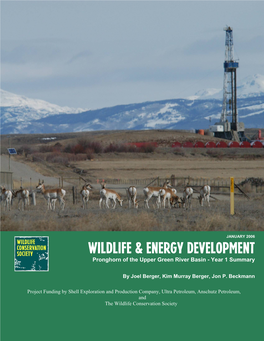 Wildlife and Energy Development Pronghorn of the Upper Green River Basin – Year 1 Summary