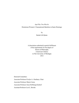 Aquí Hay Una Mezcla: Dominican Women's Transnational Identities in Santo Domingo by Rachel Afi Quinn a Dissertation Submitte