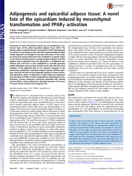 Adipogenesis and Epicardial Adipose Tissue: a Novel Fate of the Epicardium Induced by Mesenchymal Transformation and Pparγ Activation