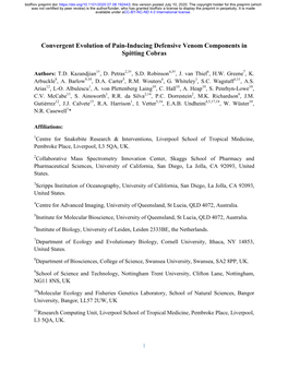 Convergent Evolution of Pain-Inducing Defensive Venom Components in Spitting Cobras