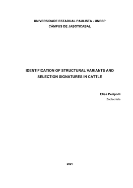 Identification of Structural Variants and Selection Signatures in Cattle