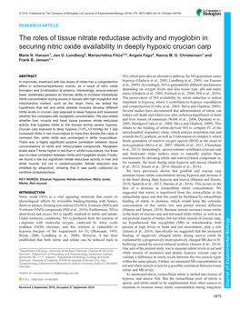 The Roles of Tissue Nitrate Reductase Activity and Myoglobin in Securing Nitric Oxide Availability in Deeply Hypoxic Crucian Carp Marie N