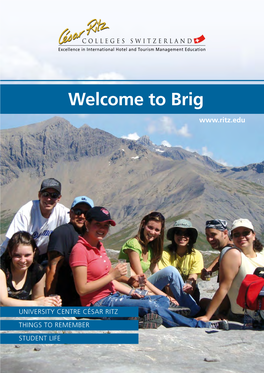 Welcome to Brig