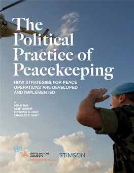How Strategies for Peace Operations Are Developed and Implemented