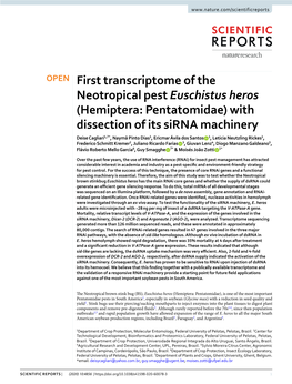 First Transcriptome of the Neotropical Pest Euschistus Heros (Hemiptera