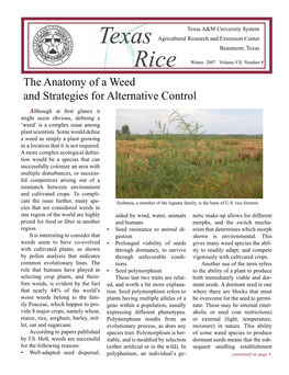Texas Rice Winter 2007 Volume VII Number 9 the Anatomy of a Weed and Strategies for Alternative Control