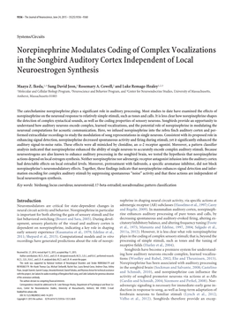 Norepinephrine Modulates Coding of Complex Vocalizations in the Songbird Auditory Cortex Independent of Local Neuroestrogen Synthesis