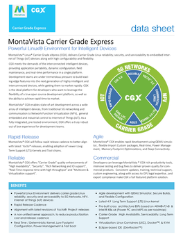 Montavista Carrier Grade Express