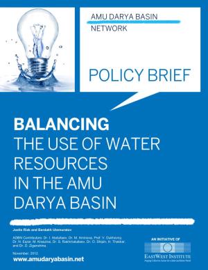 Balancing the Use of Water Resources in the Amu Darya Basin