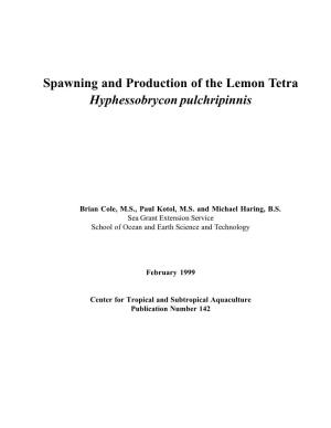 Spawning and Production of the Lemon Tetra Hyphessobrycon Pulchripinnis