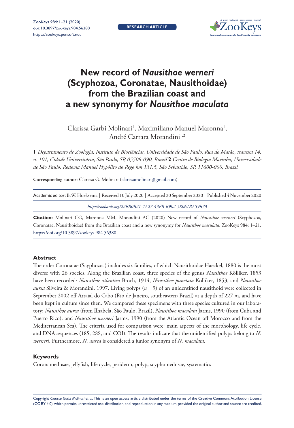 ﻿New Record of Nausithoe Werneri (Scyphozoa, Coronatae