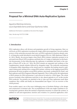 Proposal for a Minimal DNA Auto-Replicative System