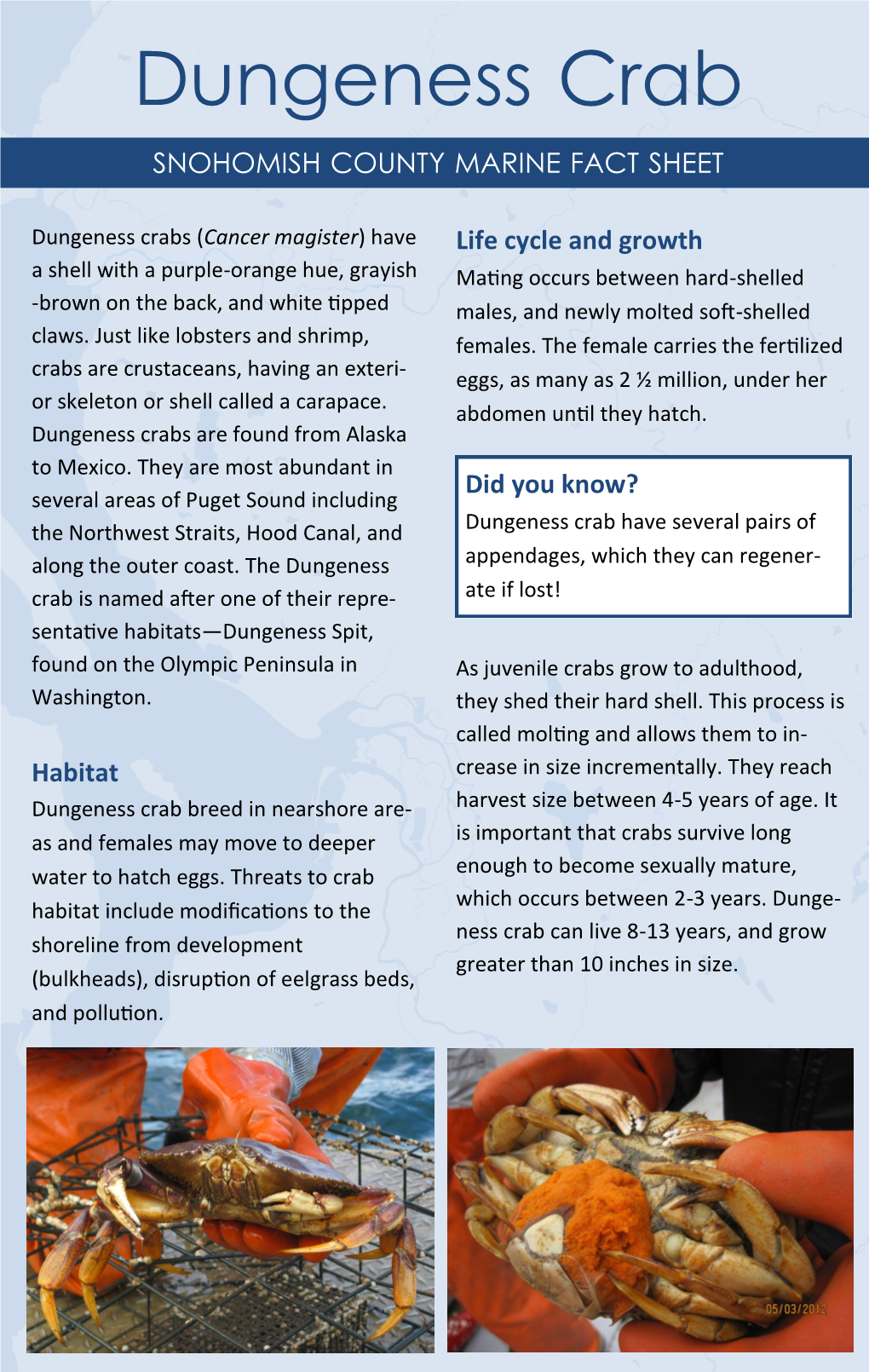 Dungeness Crab Dungeness Crab SNOHOMISH COUNTY MARINE FACT SHEET SNOHOMISH COUNTY MARINE FACT SHEET