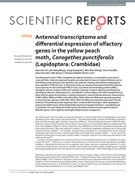 Antennal Transcriptome and Differential