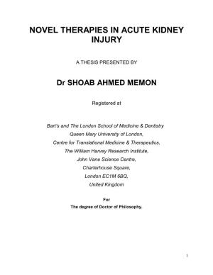 Novel Therapies in Acute Kidney Injury