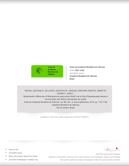 Redalyc.Morphometric Differences of Microgramma Squamulosa (Kaulf